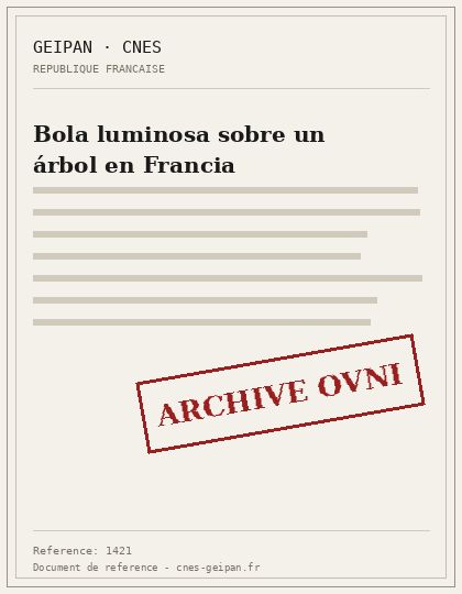 Bola luminosa sobre un árbol en Francia